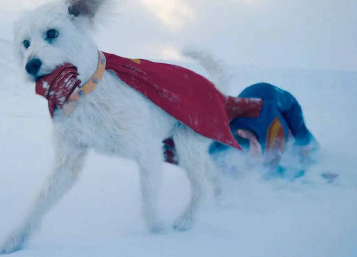 Superman et Krypto 2025