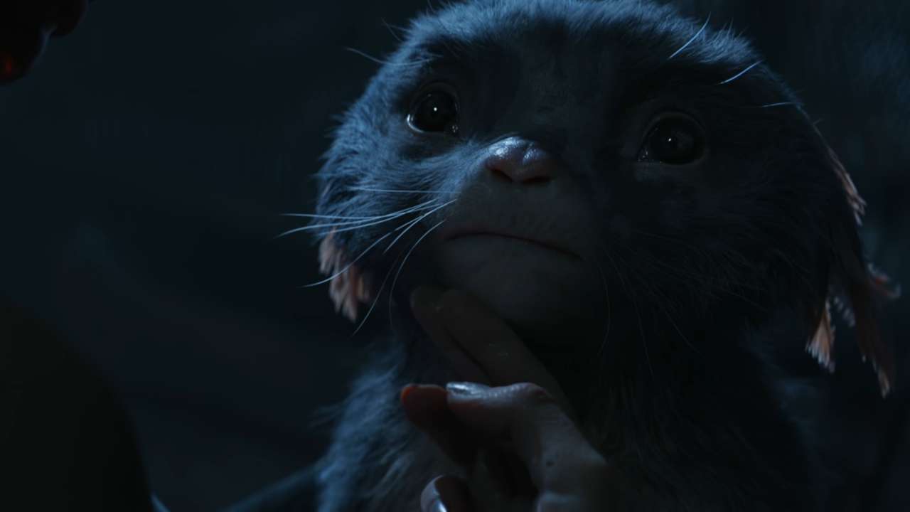 Spider Rose-Love Death + Robots