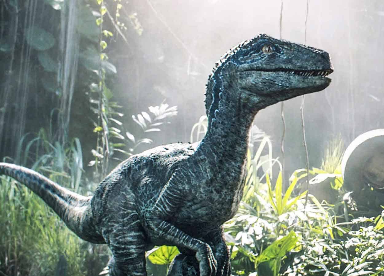 Velocirraptor de Jurassic World: La renaissance