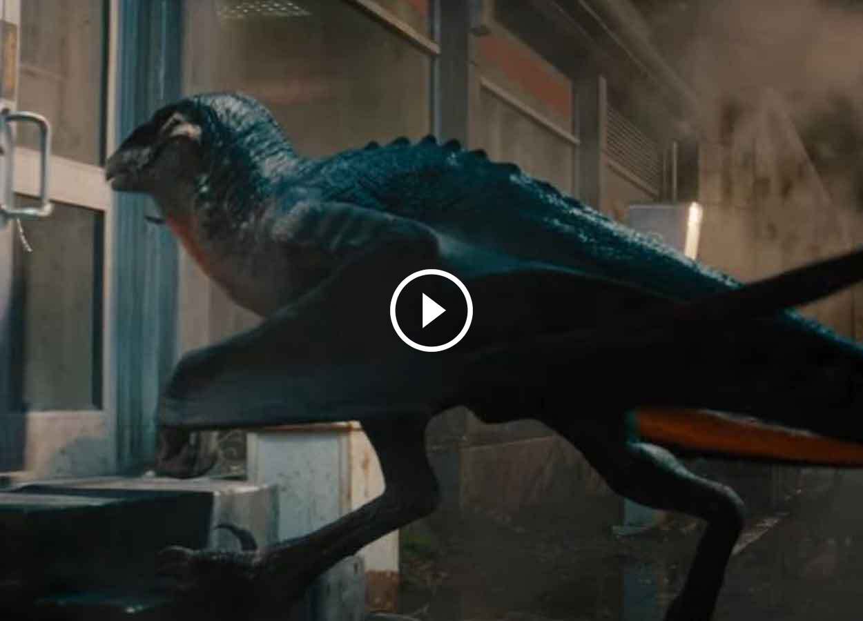 Primera imagen de una brutal batalla entre dinosaurios en Jurassic World: El renacer
