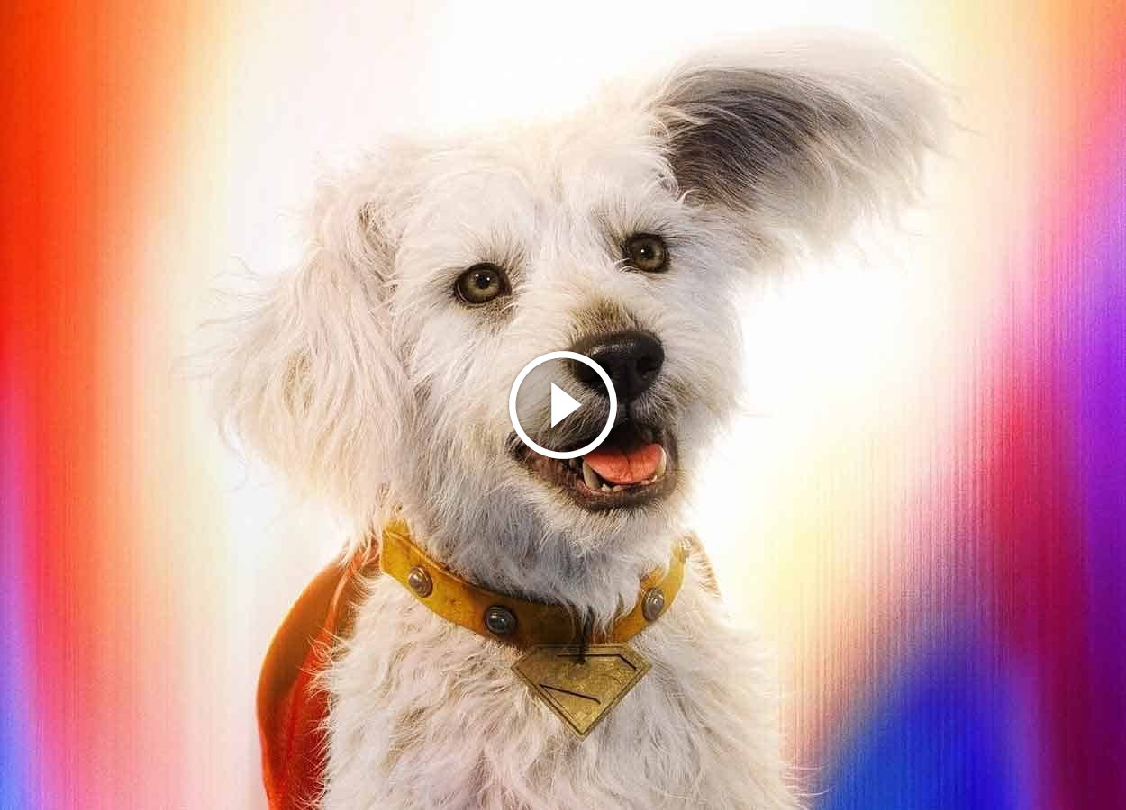 Superman (2025) révèle ce que Krypto fait aux abominables Men de neige