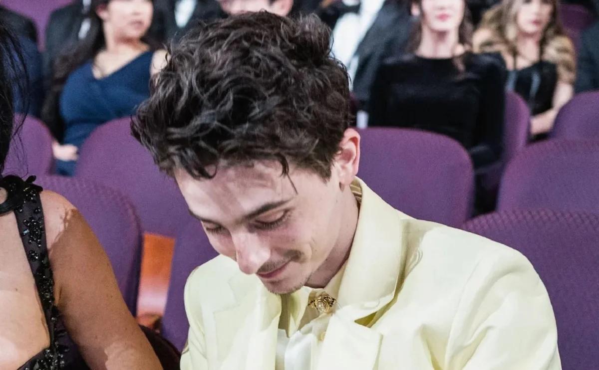 Timothée Chalamet (Image : Getty)