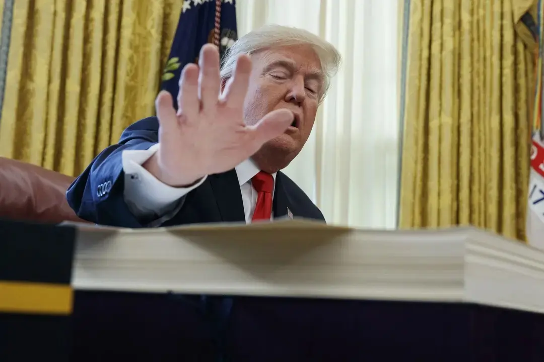 Donald Trump (image : Evan Vucci—AP/REX/Shutterstock)