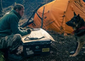 Brad Pitt a été ému par sa co-star canine de « Heart of the Beast »: un berger allemand nommé Uber