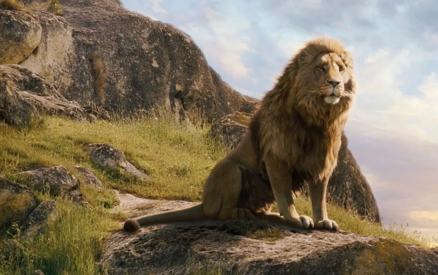 Aslan, exprimé par Liam Neeson, dans « Le Monde de Narnia : Le Lion, la Sorcière et l'Armoire Magique » (2005) (image : IMDb)