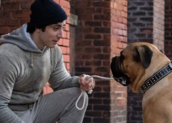 « I Play Rocky » : Anthony Ippolito révèle que le chien du film ne pouvait pas le supporter pendant le tournage